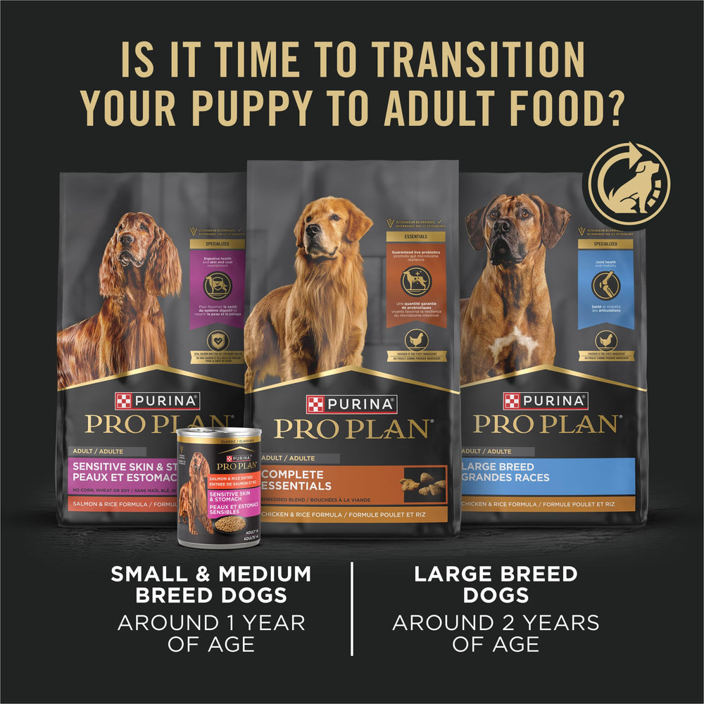 Repas chiot poulet Purina Pro Plan Développement sans grains 13oz