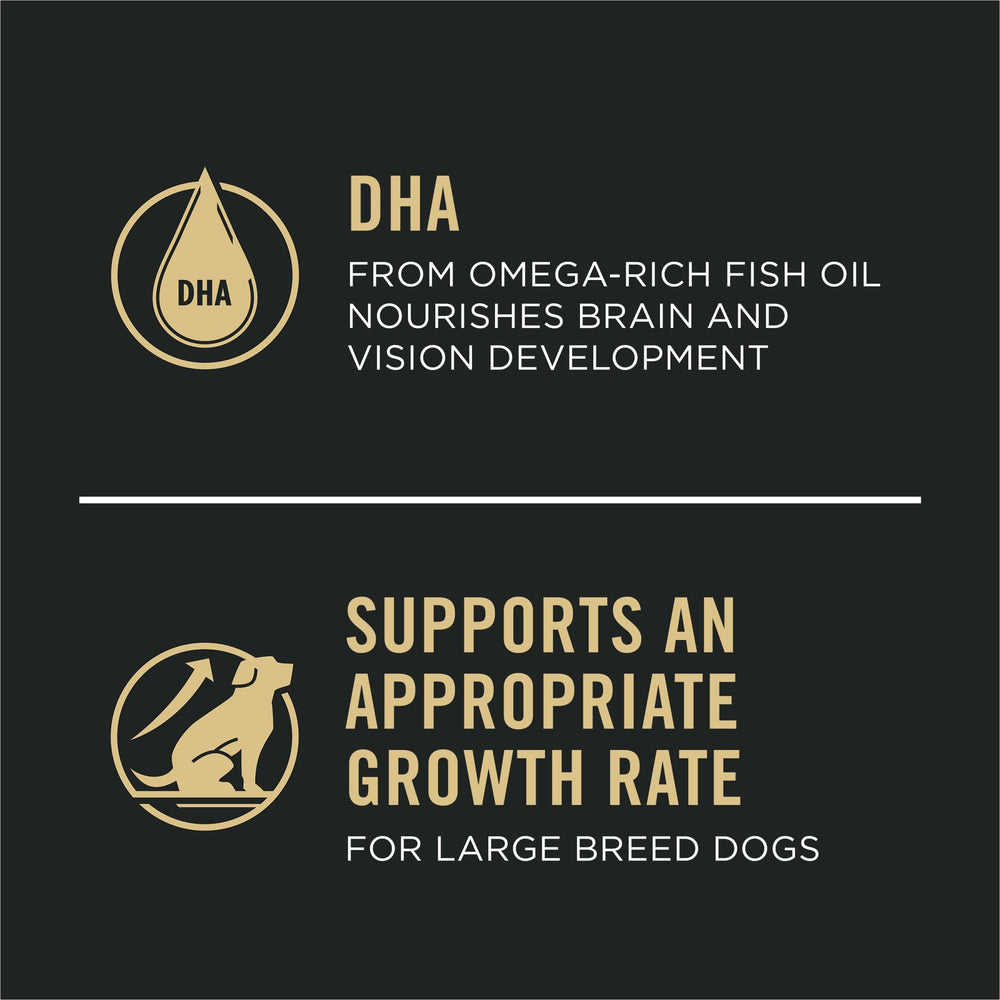 Purina Pro Plan DHA – développement cerveau et vision du chiot