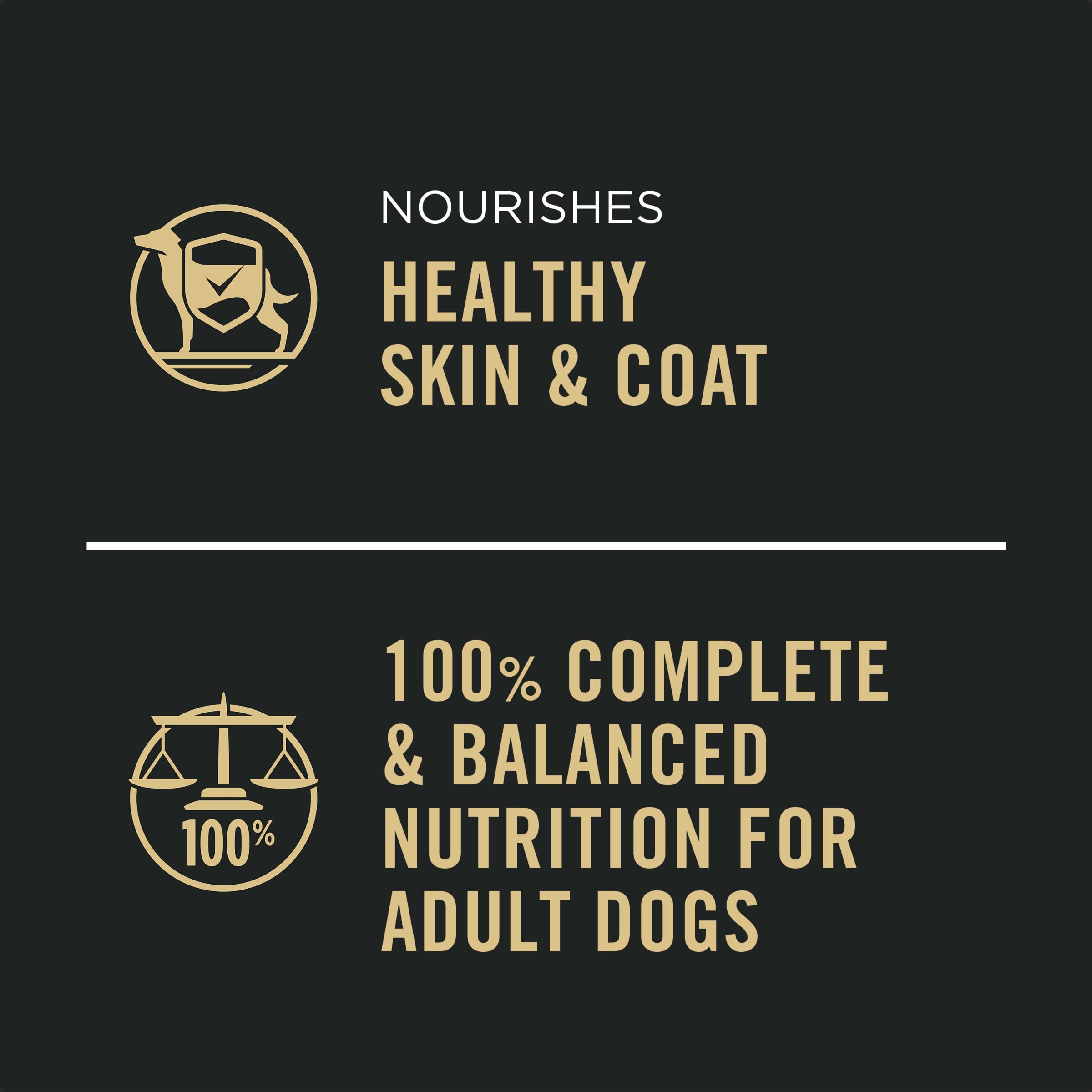Purina Pro Plan Complete Essentials servies dans un bol, texture appétissante.