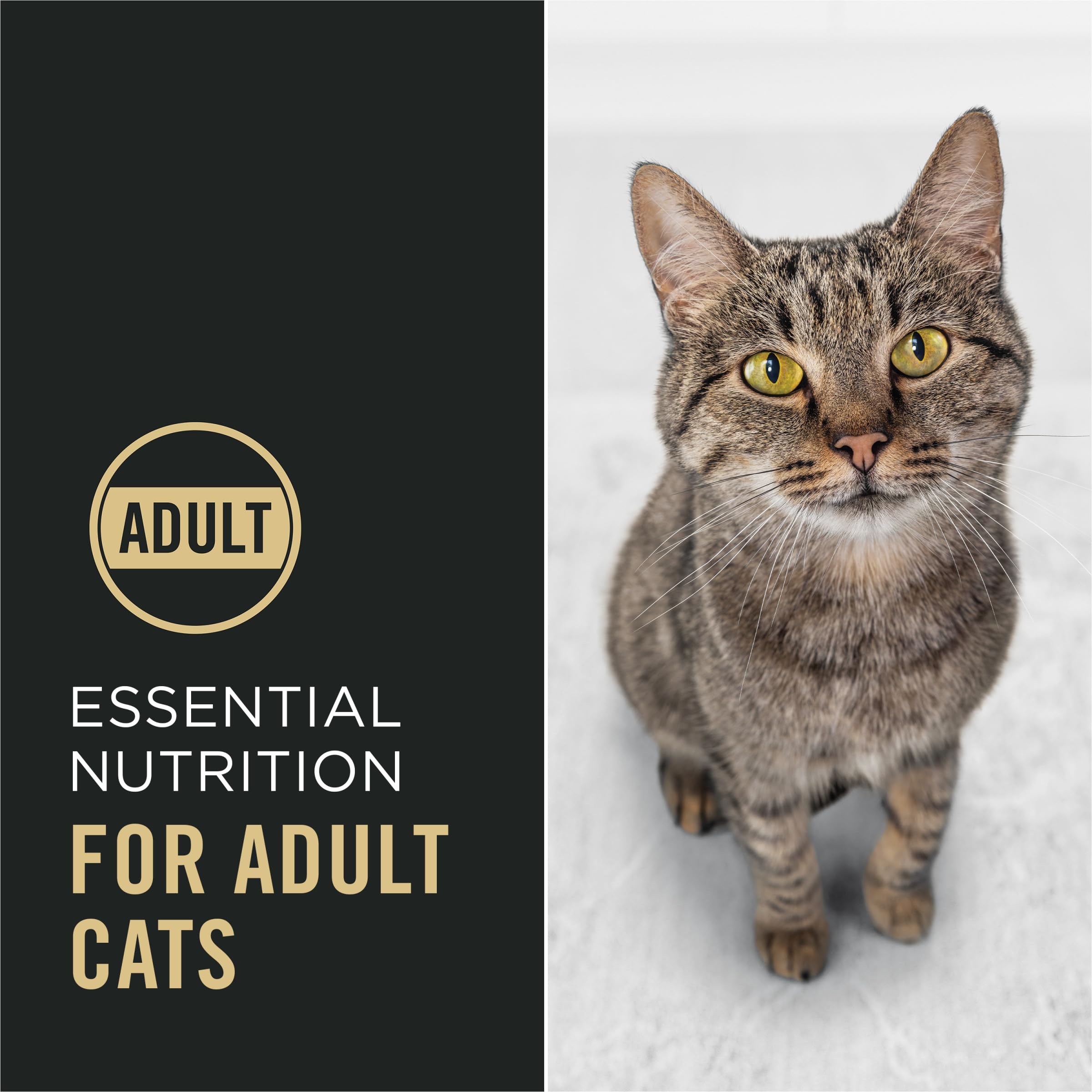 Purina Pro Plan Essentiels Complets – croquettes et morceaux, expérience de repas croquante et tendre.