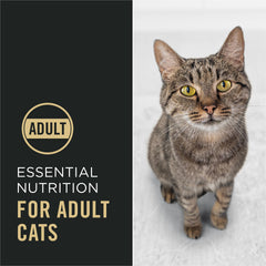 Purina Pro Plan Essentiels Complets premier ingrédient poulet, nutrition équilibrée