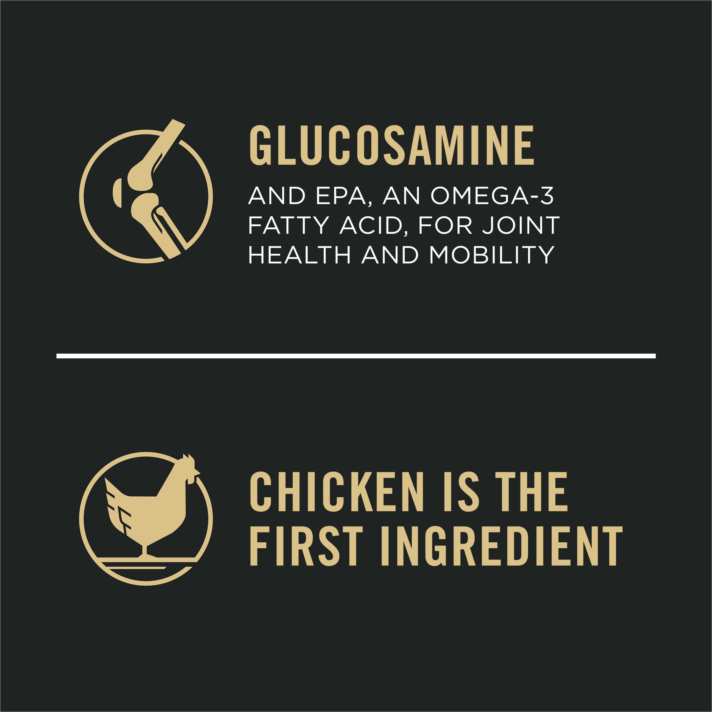 Purina Pro Plan Grande Race bol croquettes, repas équilibré pour chien adulte.
