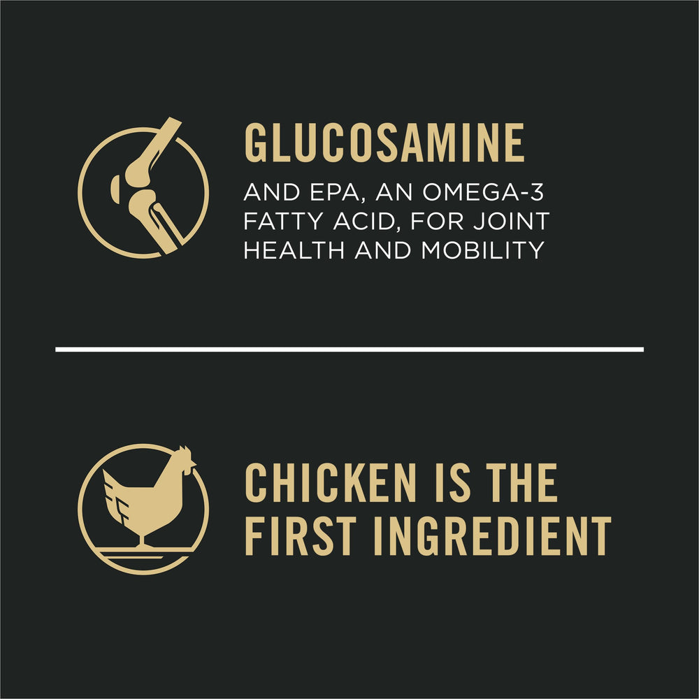 Purina Pro Plan Grande Race bol croquettes, repas équilibré pour chien adulte.