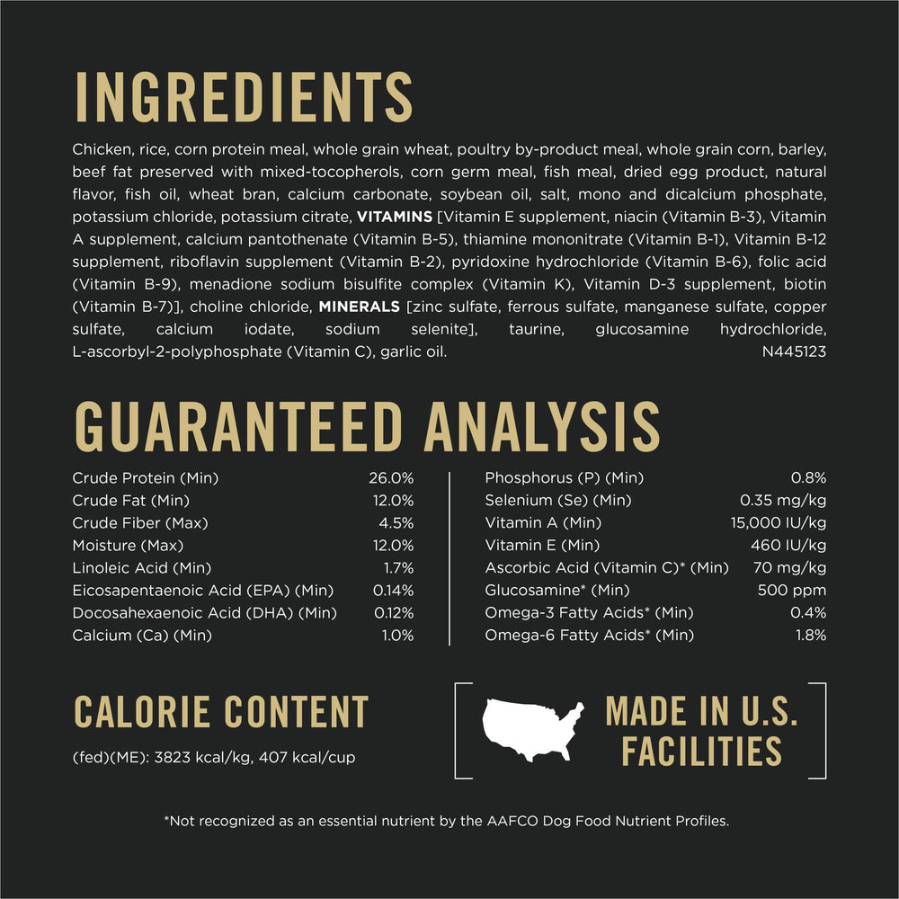 Purina Pro Plan Grande Race chien adulte en action, alimentation adaptée.