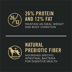Purina Pro Plan Grande Race croquettes poulet et riz, texture croustillante appréciée.