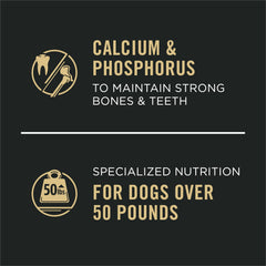 Purina Pro Plan Gravy, présentation pack 12 boîtes 13 oz, solution pratique
