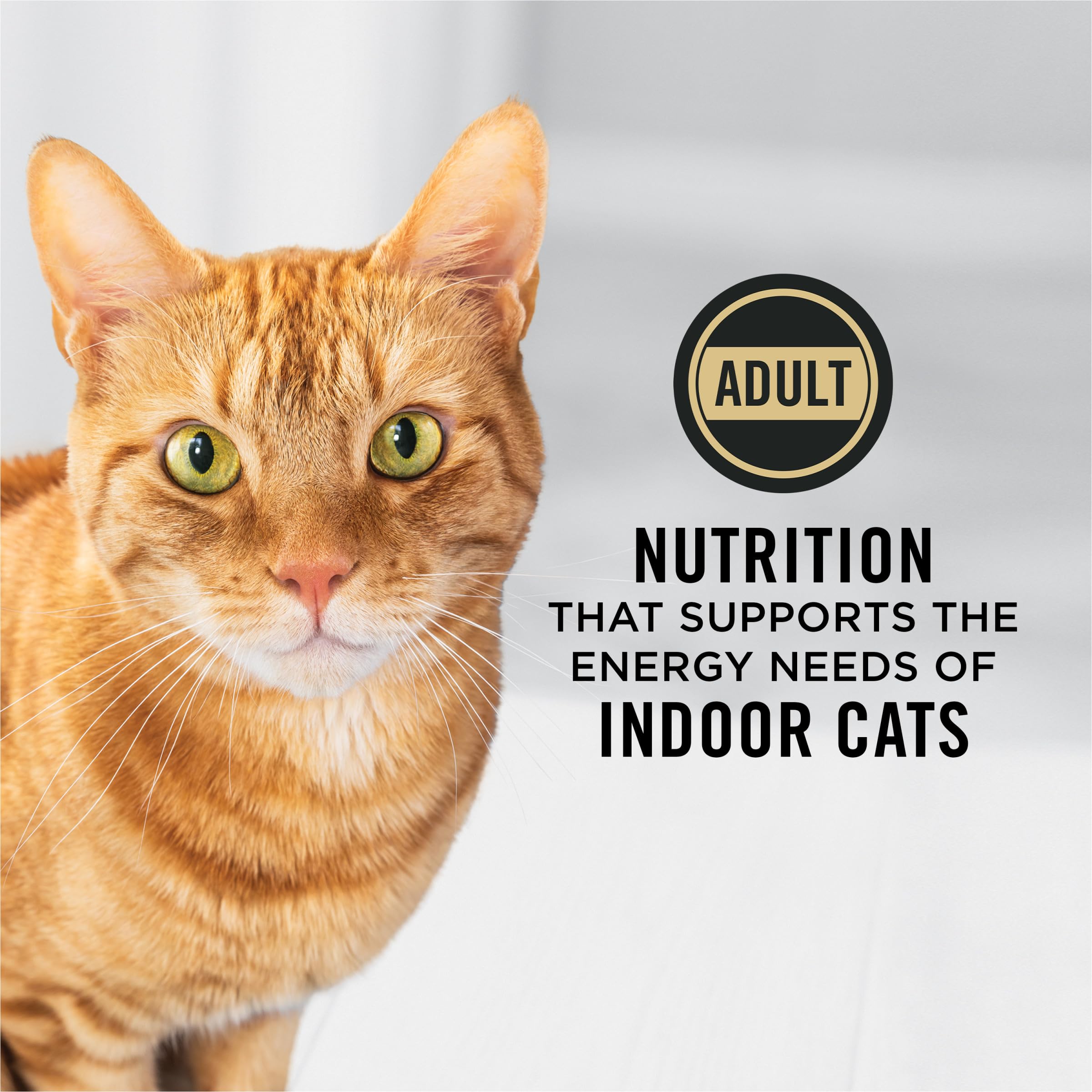 Croquettes croustillantes Purina Pro Plan Intérieur pour chats adultes et boules de poils.