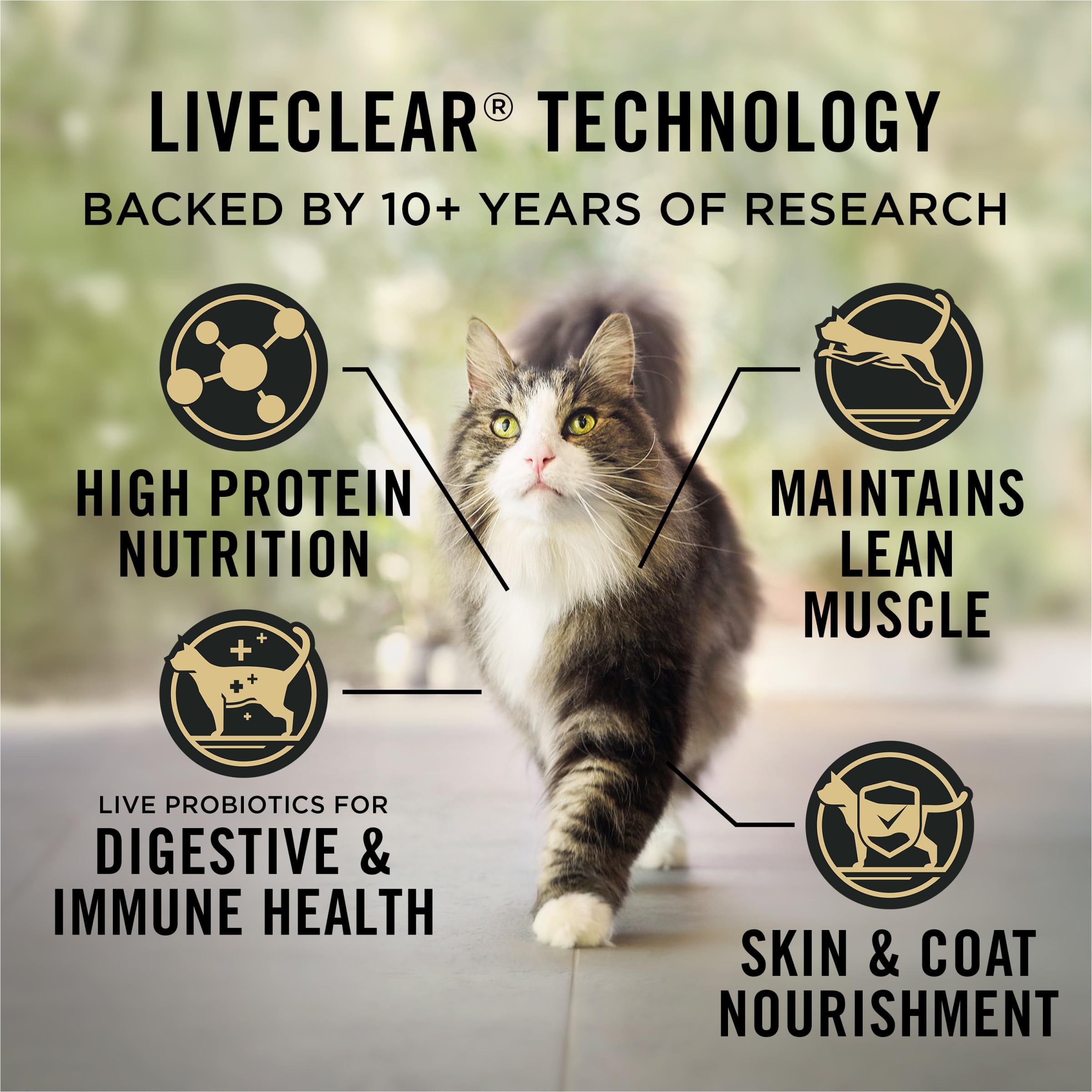 Probiotiques vivants dans Purina LIVECLEAR pour soutenir la digestion du chat intérieur.