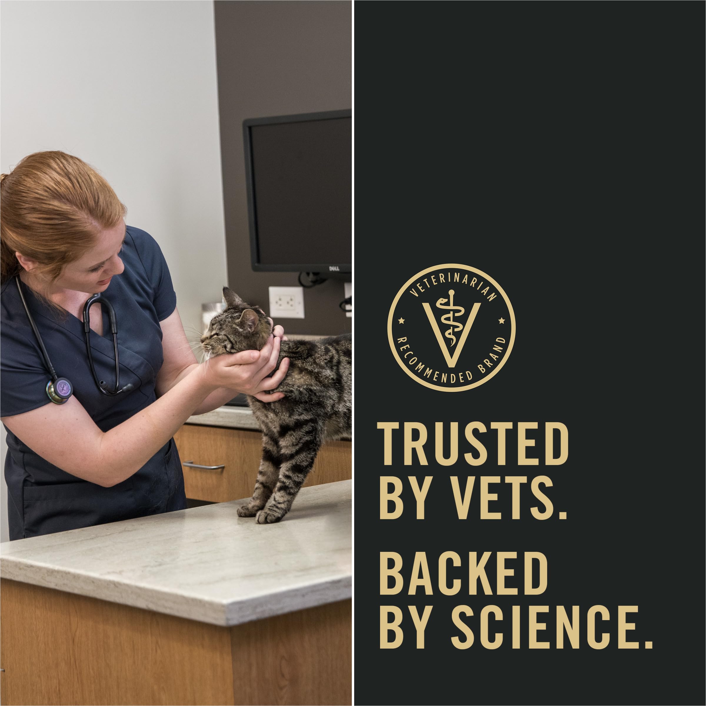 Purina Pro Plan LIVECLEAR protéines élevées, énergie et satiété pour chat actif.