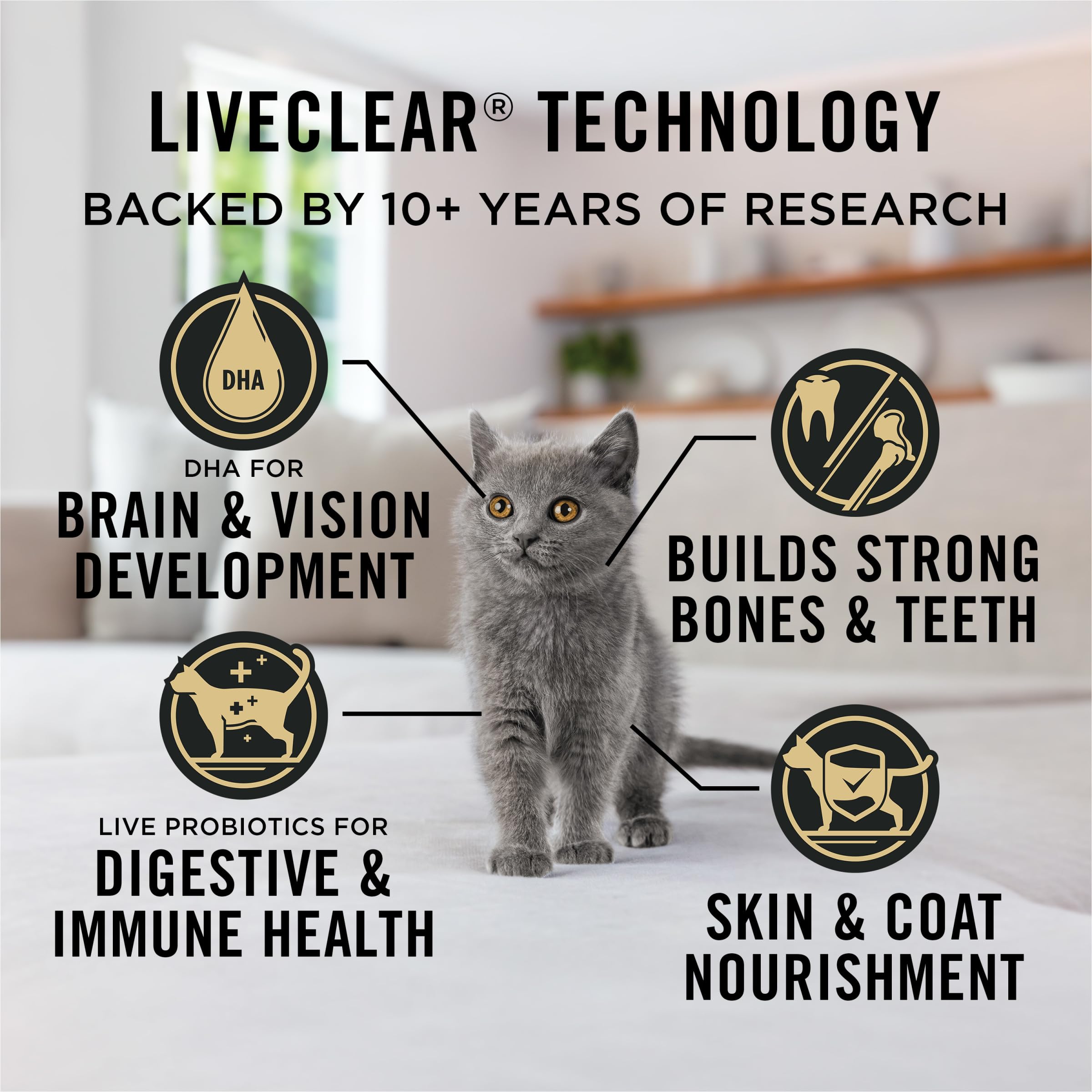 Probiotiques vivants ajoutés pour soutenir digestion et immunité du chaton.