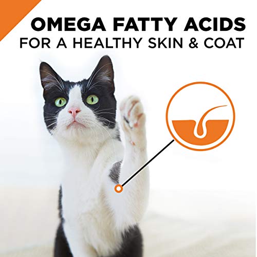 Purina Pro Plan Pâté Chat, antioxydants soutiennent le système immunitaire.