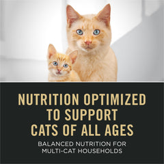 Purina Pro Plan Pâté Chat Poulet Servi Quotidien – repas facile pour les chats.