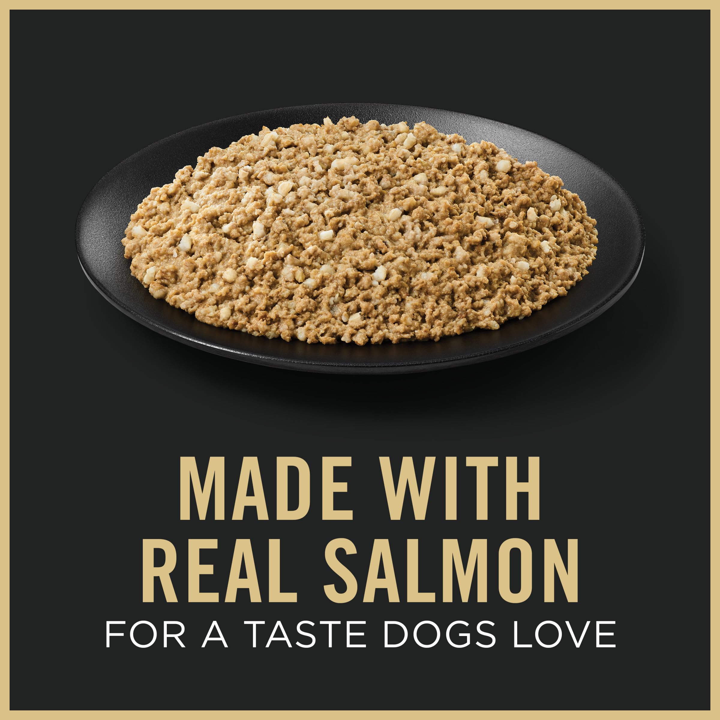 Purina Pro Plan chiots pâté humide saumon-riz, texture appétissante.