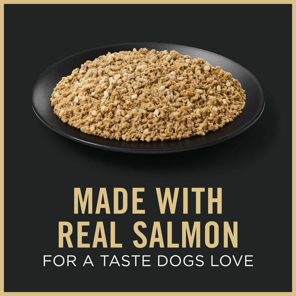 Purina Pro Plan chiots pâté humide saumon-riz, texture appétissante.