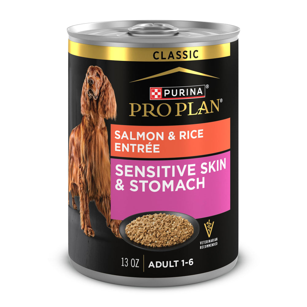 Purina Pro Plan Pâté Saumon-Riz servi en assiette, repas quotidien appétissant.