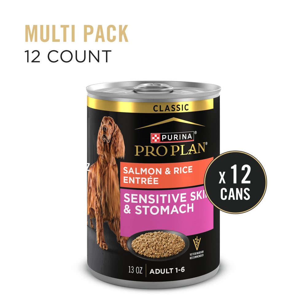 Purina Pro Plan Pâté Saumon-Riz dans bol prêt à servir.