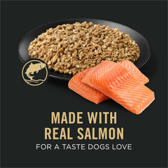 Purina Pro Plan Pâté Saumon-Riz texture soyeuse, facile à digérer.
