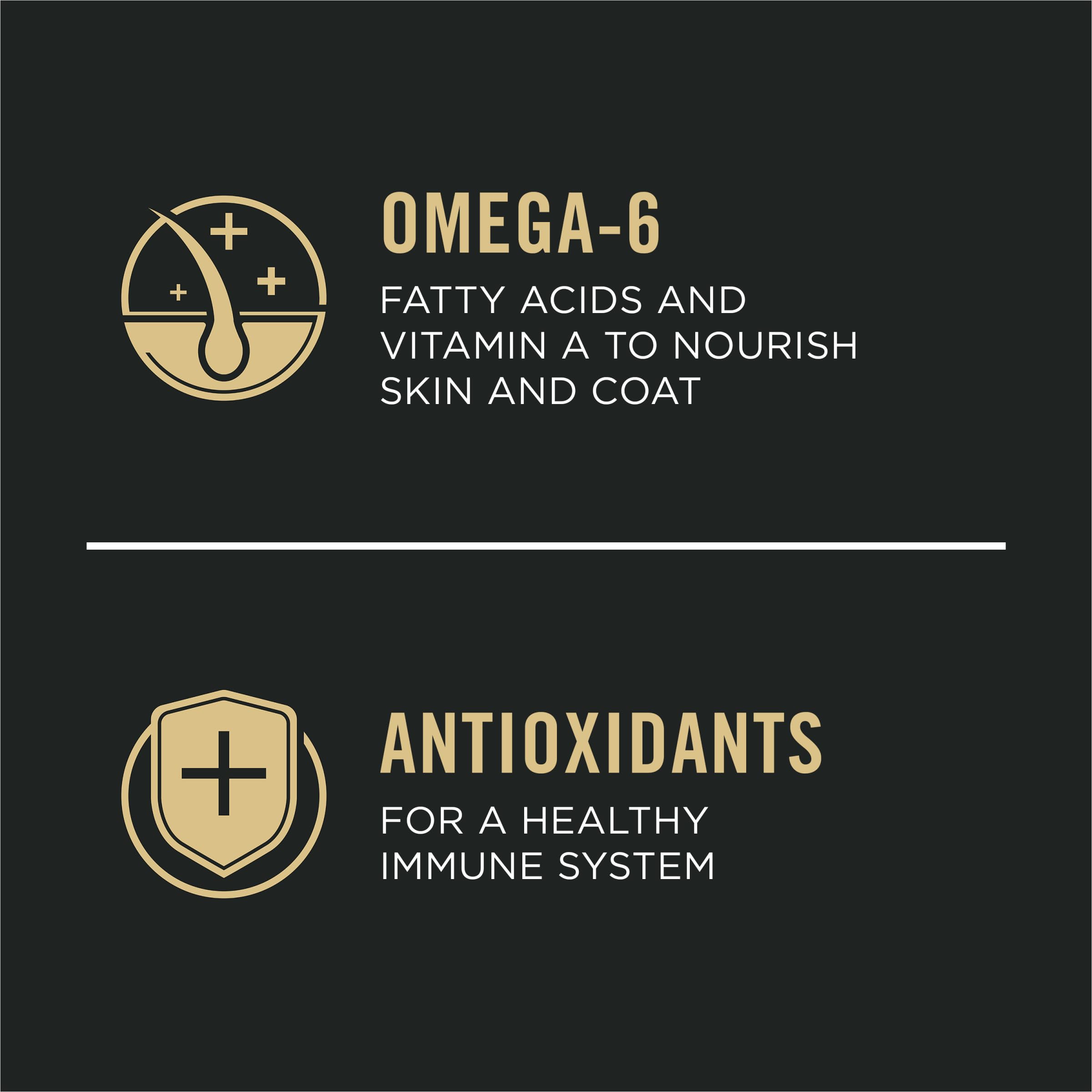 Purina Pro Plan Petit Chien omega-six vitamine A pour peau et poil.