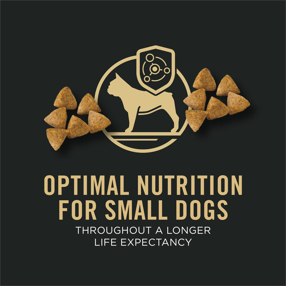 Purina Pro Plan Petite Race croquettes riches en nutriments pour petites races.