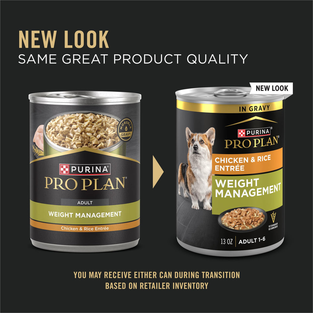 Purina Pro Plan poulet réel visible dans la pâtée, bol appétissant pour chien.