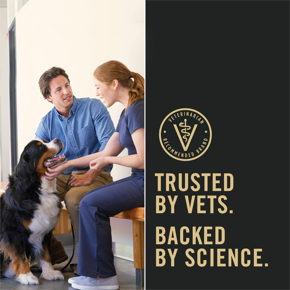 Purina Pro Plan proteine elevee aidant au maintien musculaire.