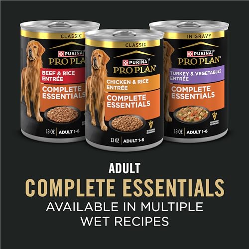 Purina Pro Plan Saumon et Riz – ingrédients essentiels pour une alimentation équilibrée