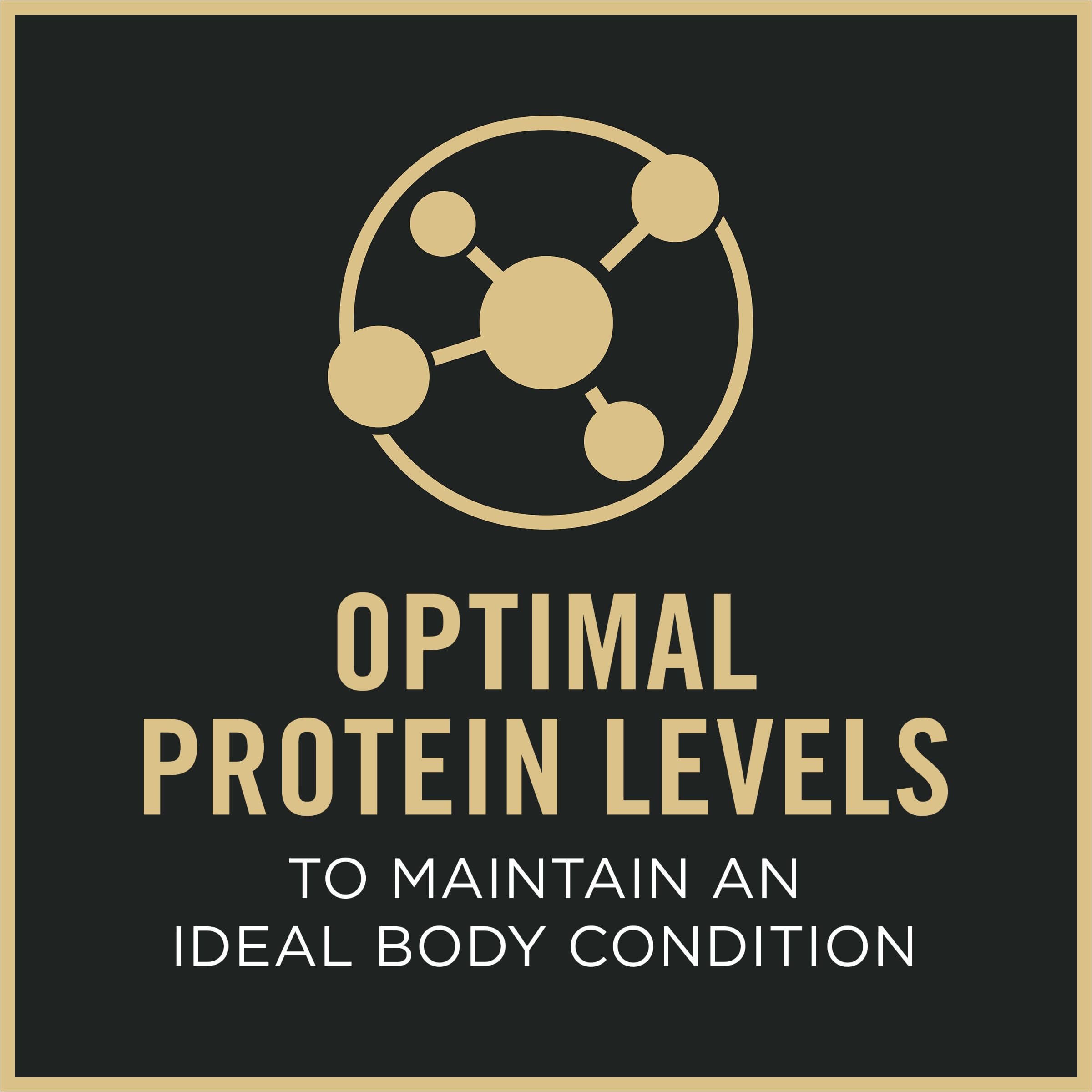 Ingénieur nutritionnel Purina Pro Plan 23 vitamines et minéraux essentiels