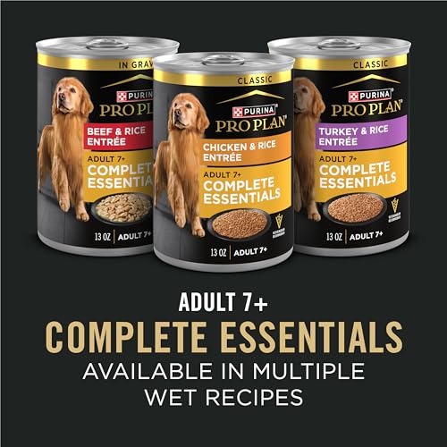 Pack pratique de 12 boîtes 13 oz pour un service régulier
