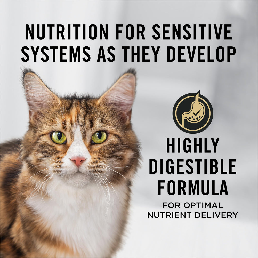 Purina Pro Plan Senior Chat Saumon-Riz, premier ingrédient saumon pour un apport protéique
