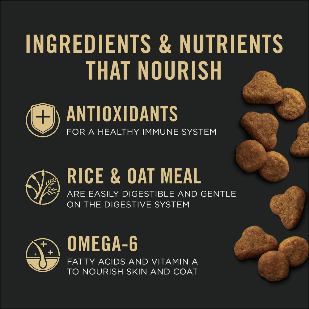 Purina Pro Plan Saumon-Riz, oméga-6 et vitamine A pour peau et pelage