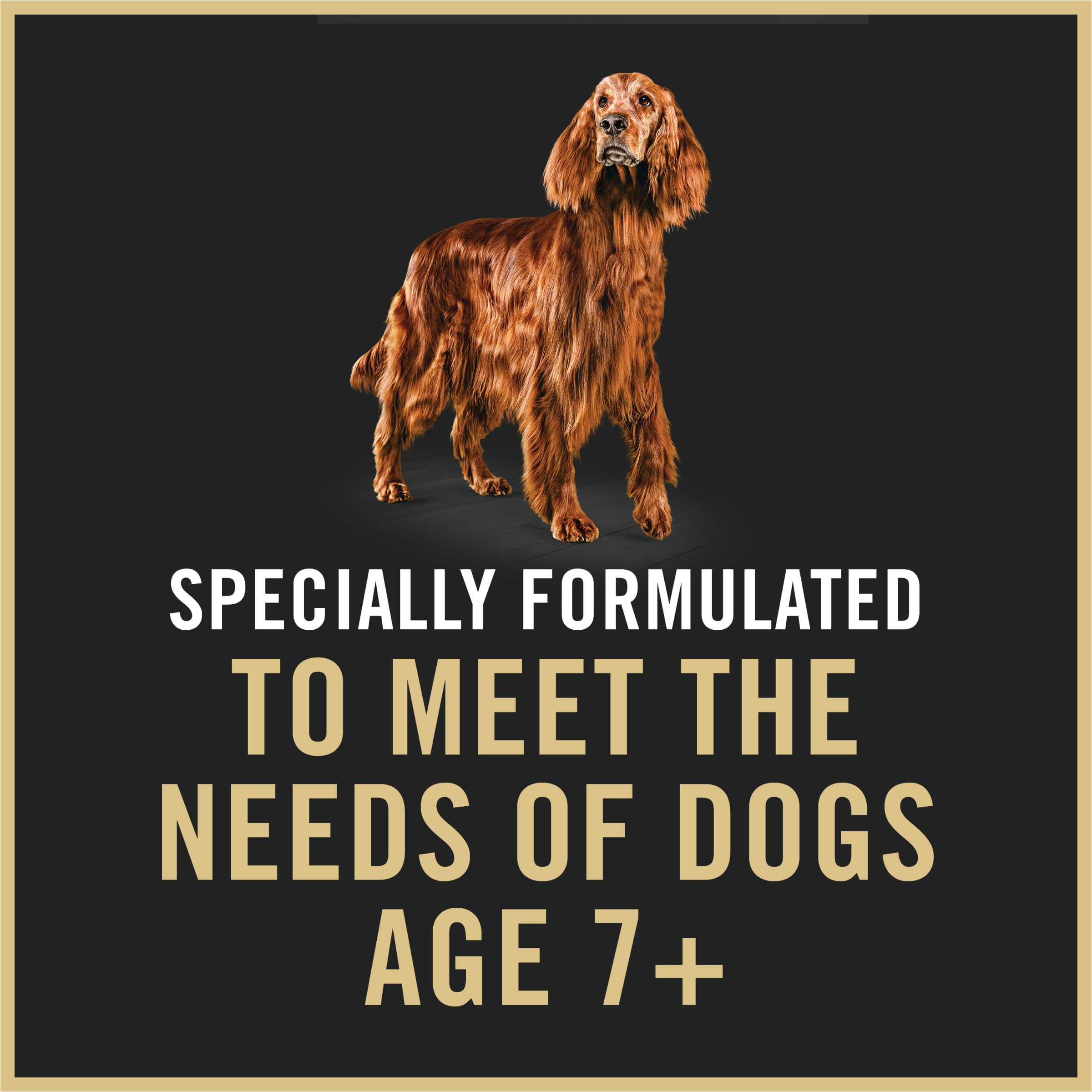 Purina Pro Plan Senior Formule 7+ — adaptée à l'âge.