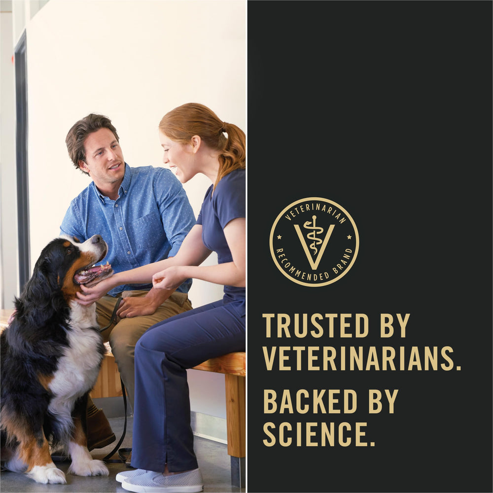 Purina Pro Plan Senior Sans colorants ni arômes artificiels.