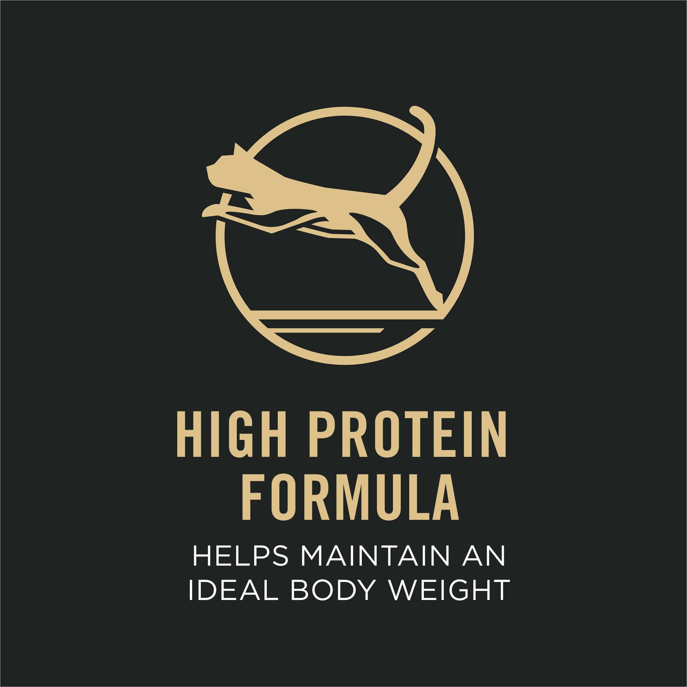 Purina Pro Plan Soin Intérieur saumon en sauce, gros plan poisson frais dans l’assiette.