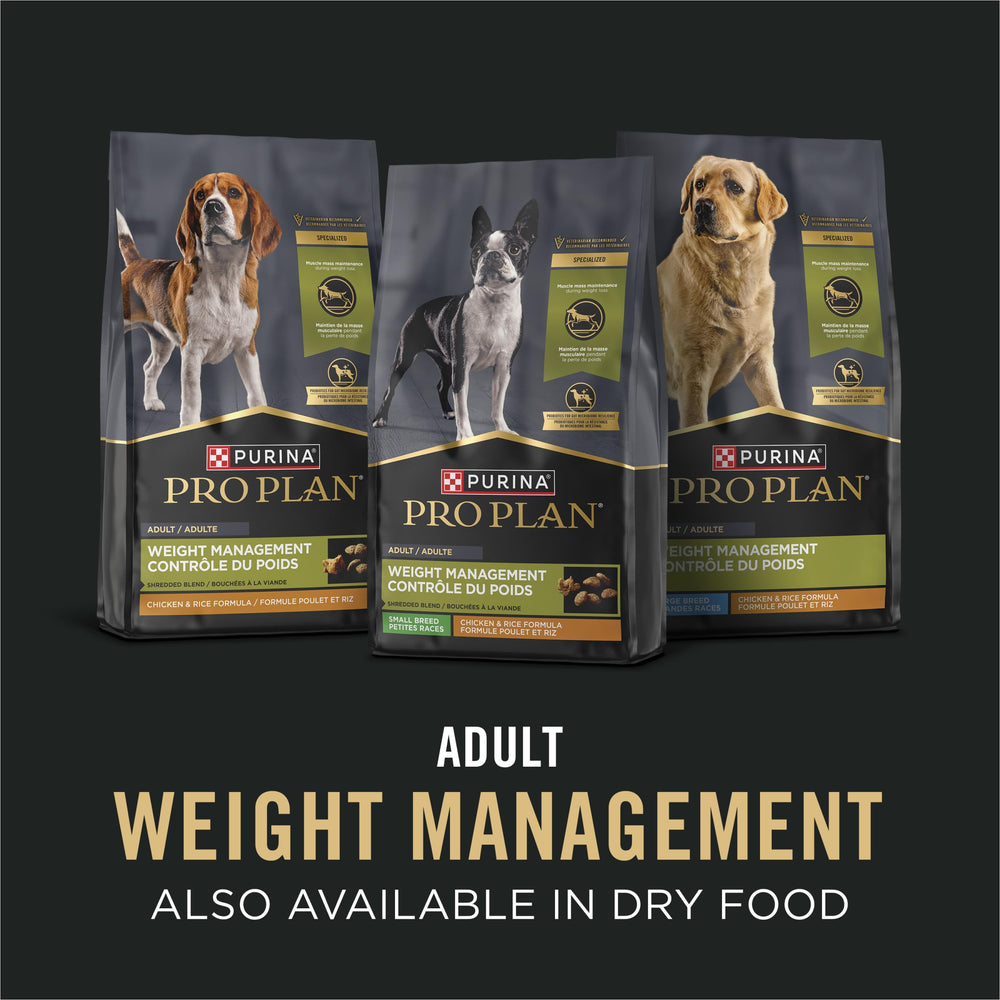 Purina Pro Plan Spécialisé: chien heureux lors du repas, moment agréable.