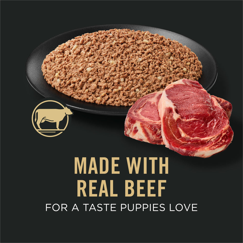 Purina Pro Plan Sport chiot avec DHA soutenant développement cérébral et visuel.