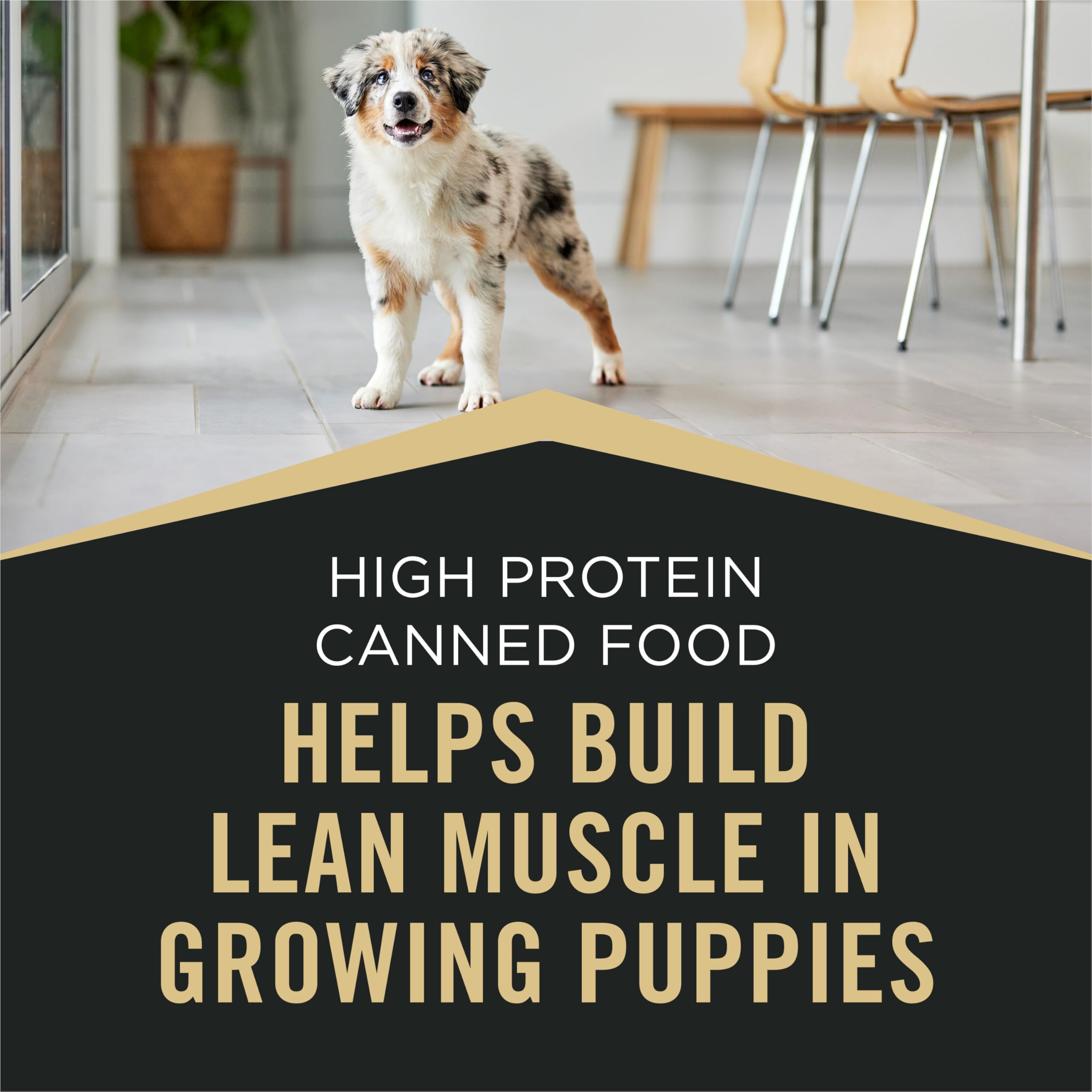 Sans colorants et conservateurs artificiels Purina Pro Plan Sport chiot