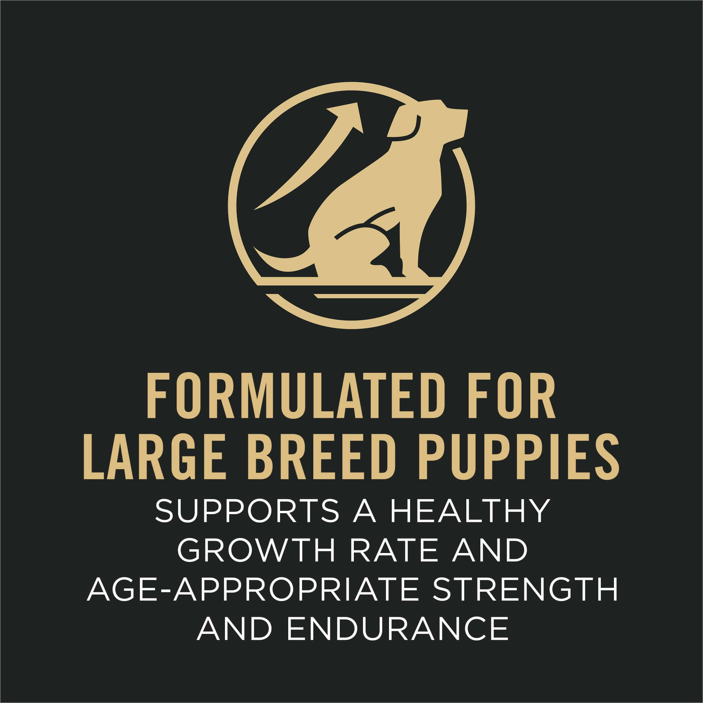Purina Pro Plan Sport: glucosamine soutient les articulations.