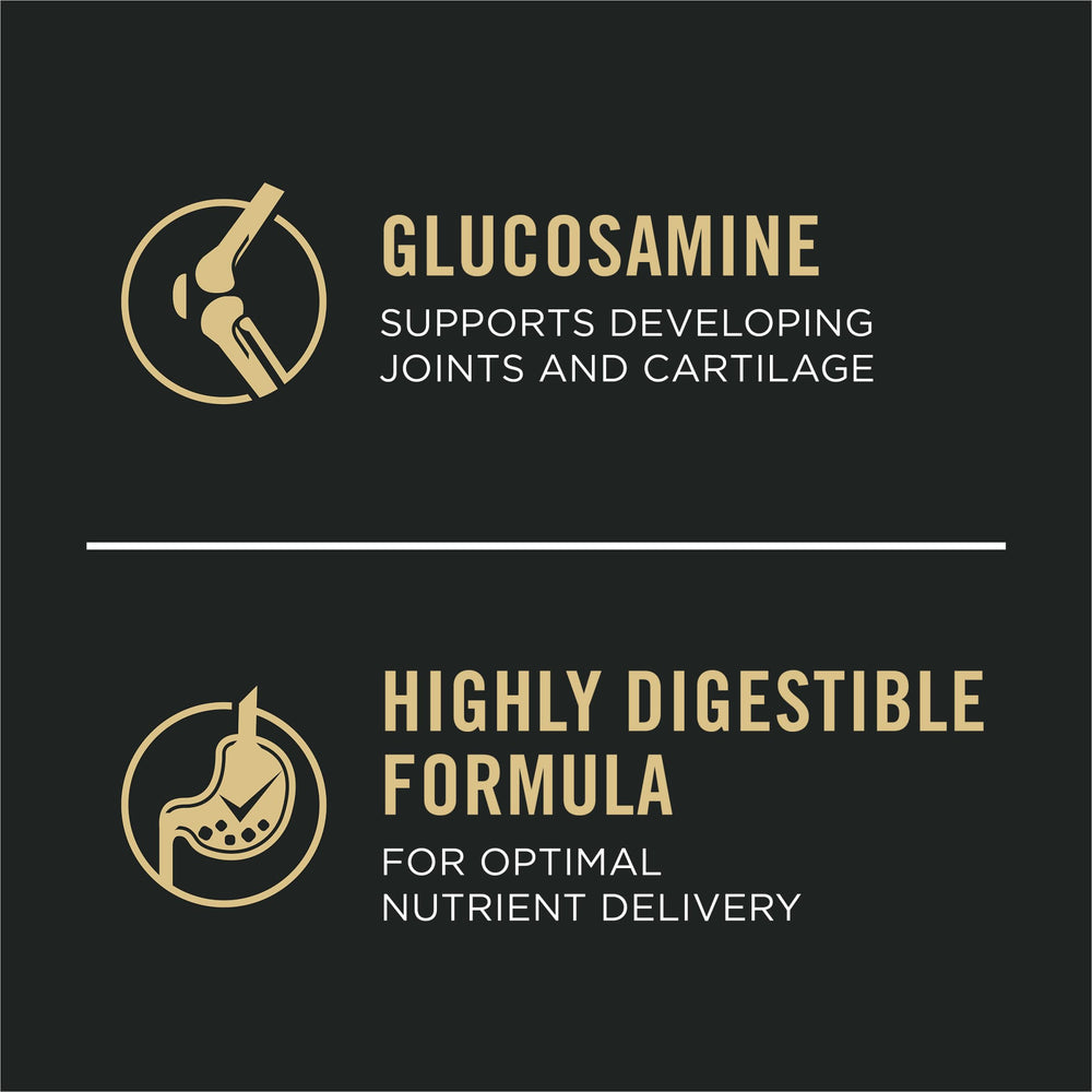 Purina Pro Plan Sport Développement glucosamine aidant les articulations des chiots actifs.