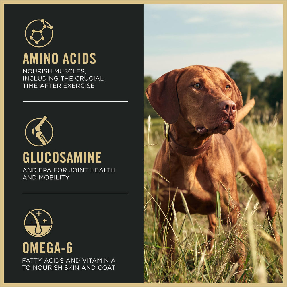 Purina Pro Plan Sport glucosamine EPA, articulations et mobilité.