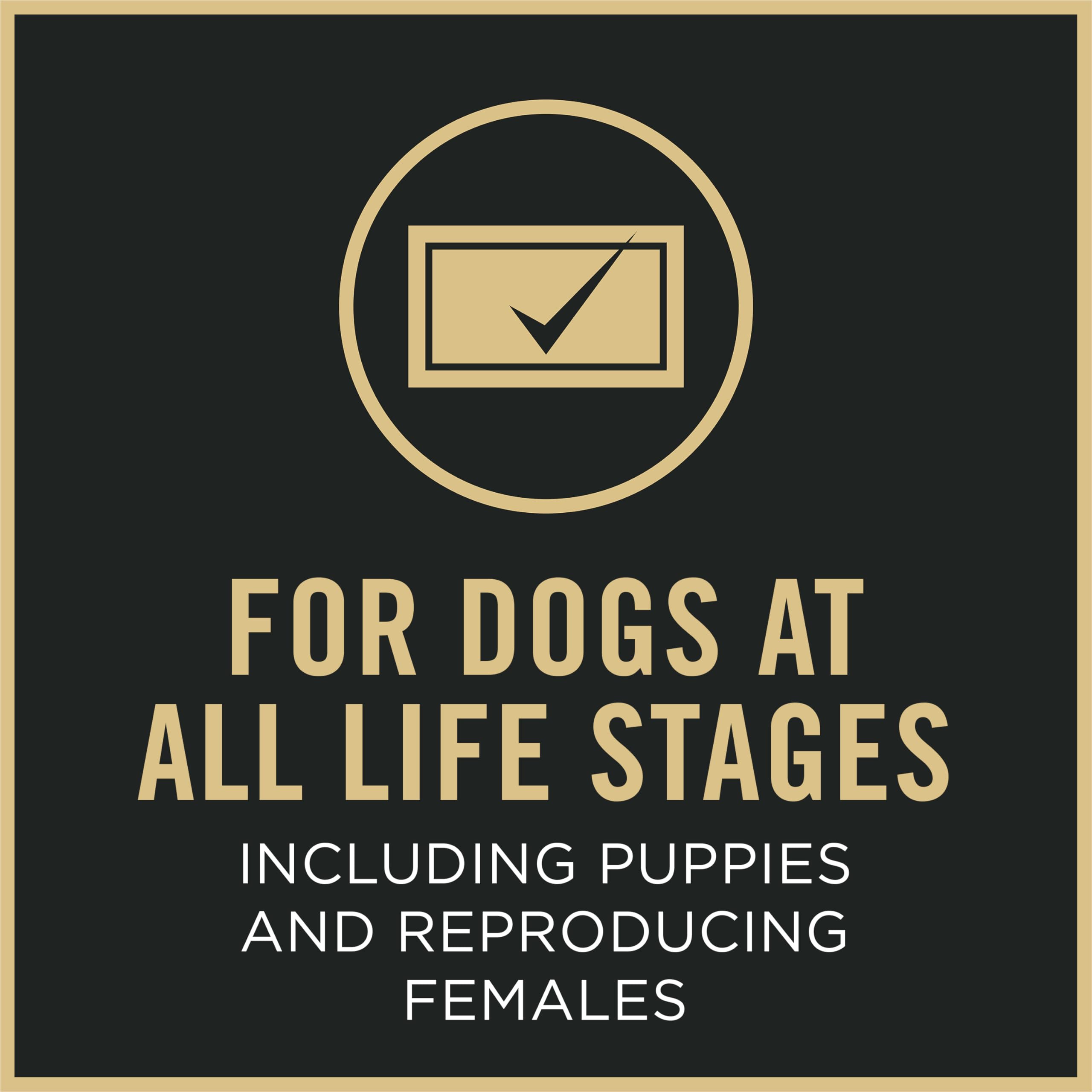 Purina Pro Plan Sport immunité et nutrition globale pour chiens.