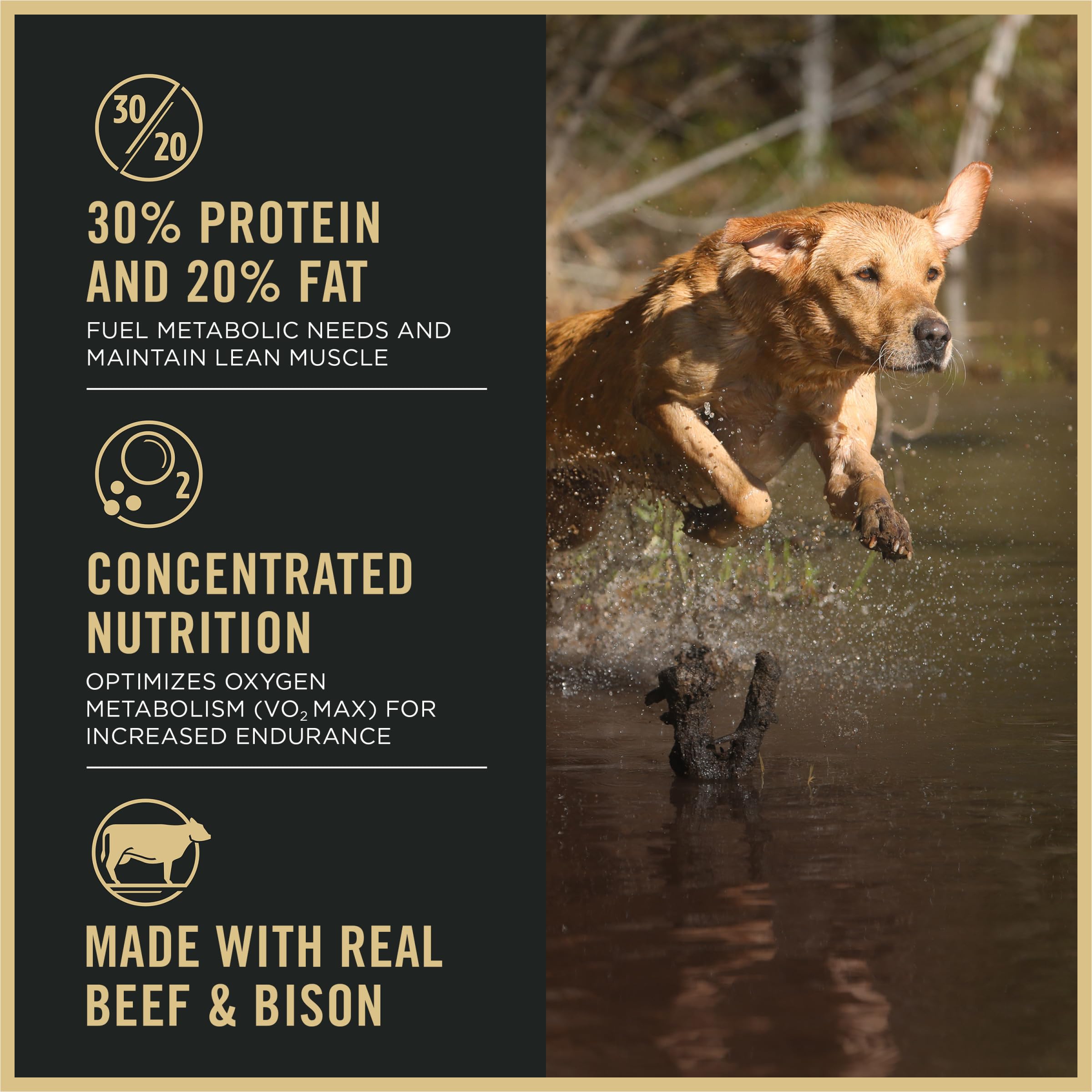 Purina Pro Plan Sport probiotiques digestifs renforcent la digestion et la flore.