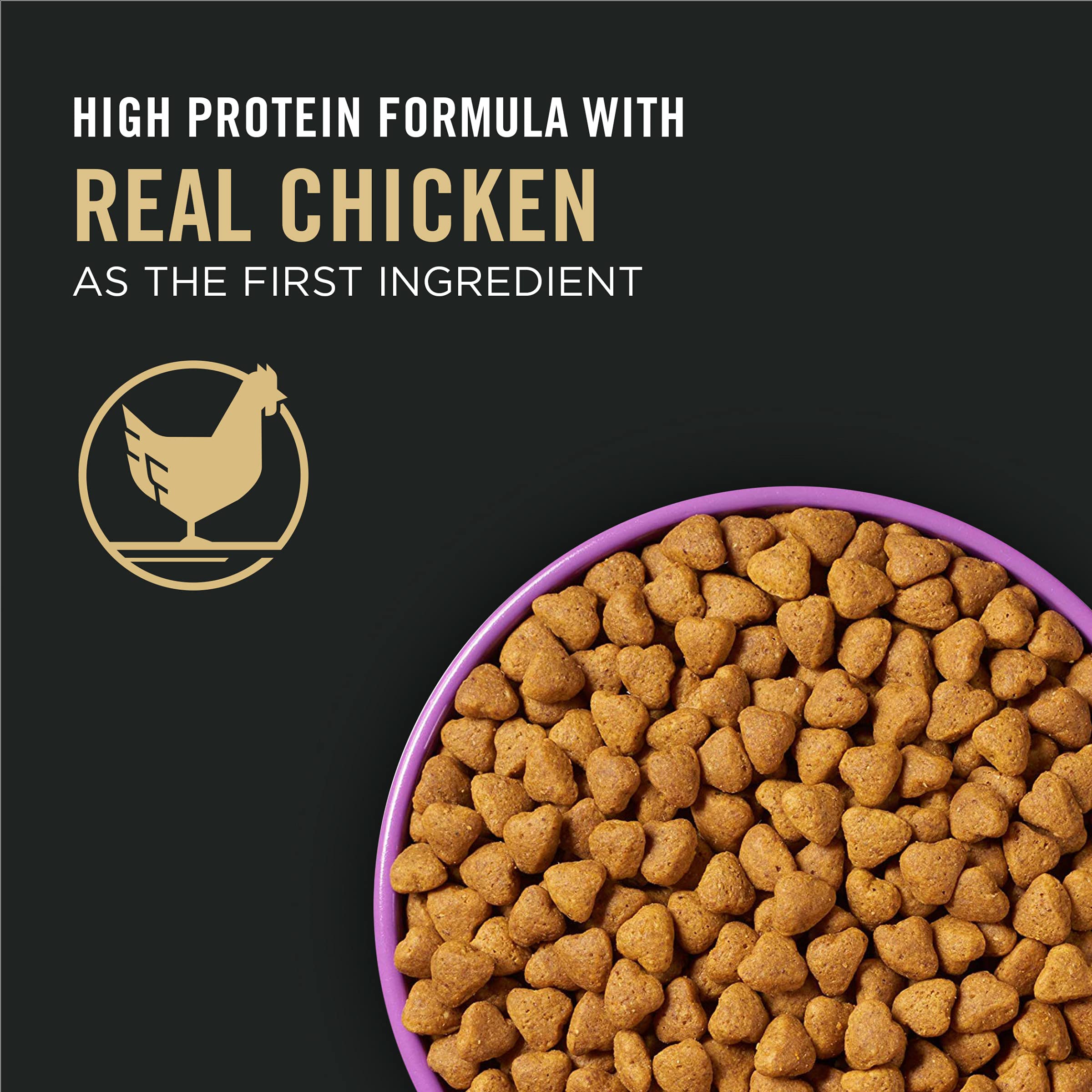 Purina Pro Plan Sport soutient l’endurance via VO2 max potentielle