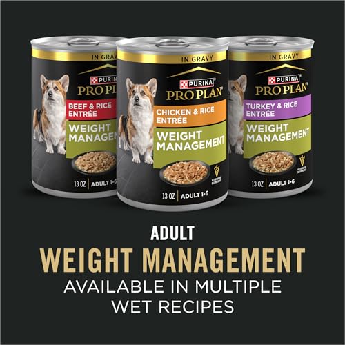 Purina Pro Plan Texture – croquant et tendre lors du repas