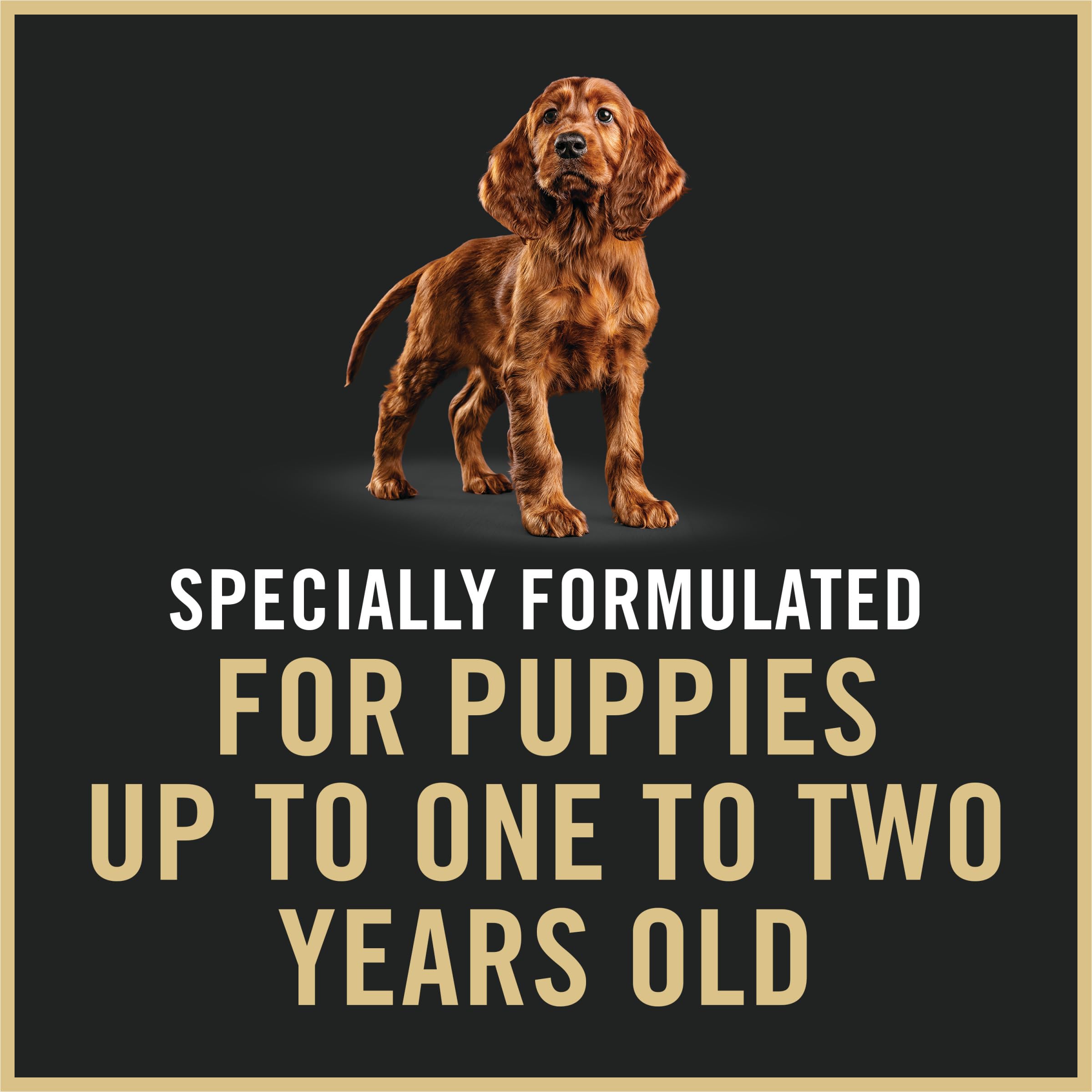 Purina Pro Plan texture moelleuse du pâté pour chiots.