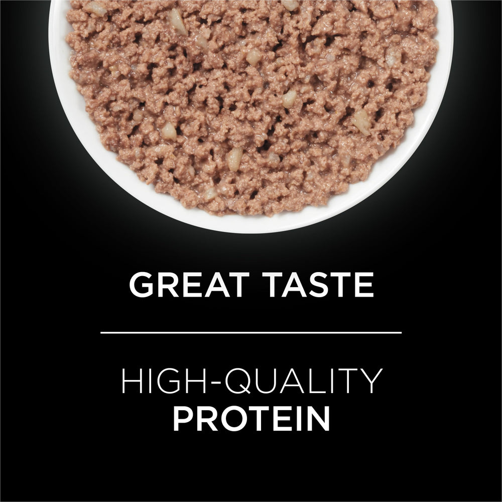 Purina Pro Plan UR St/Ox Feline – emballage visible, hydratation potentielle lors du repas.