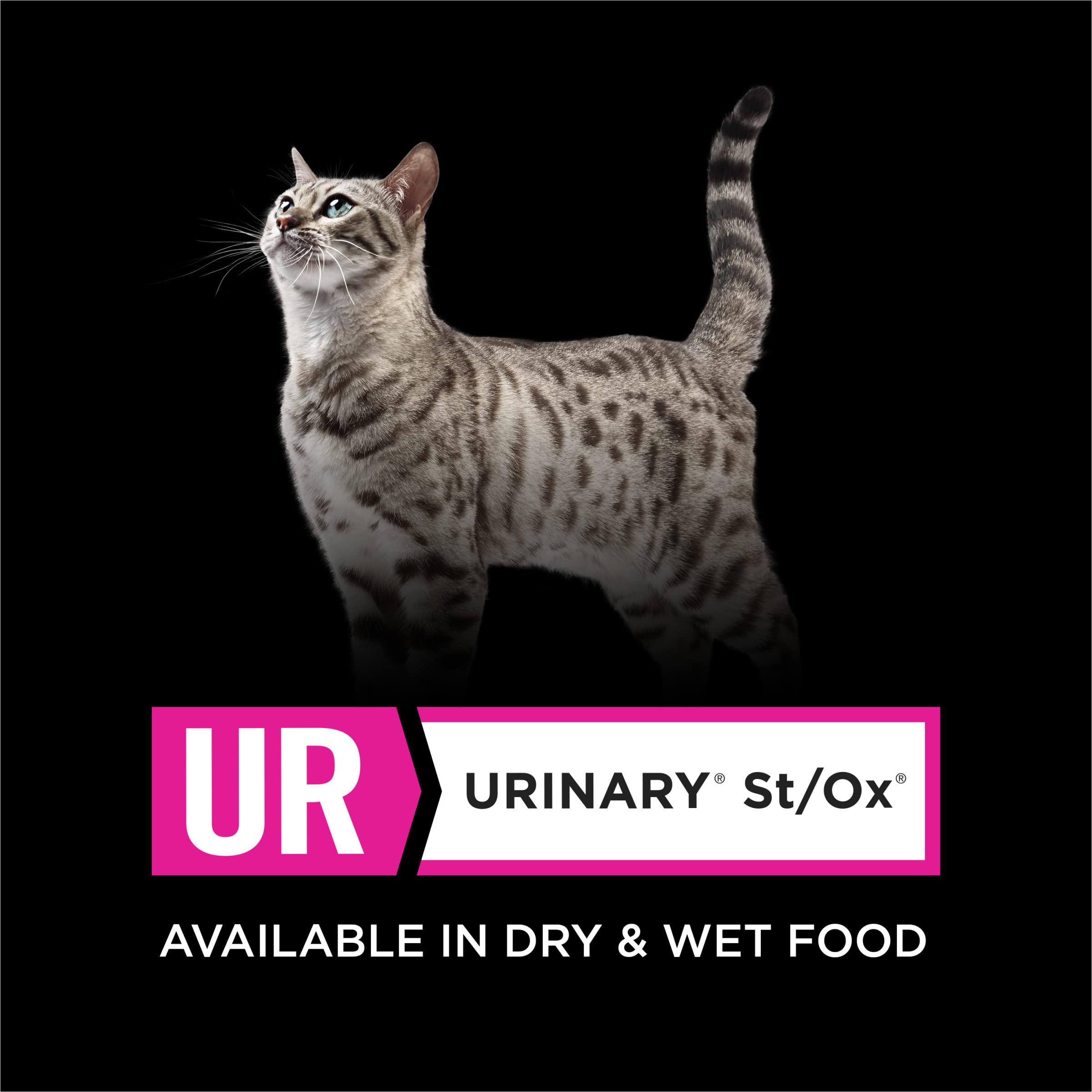 Purina Pro Plan UR St/Ox Feline – pack de 24 boîtes pour planification facile.