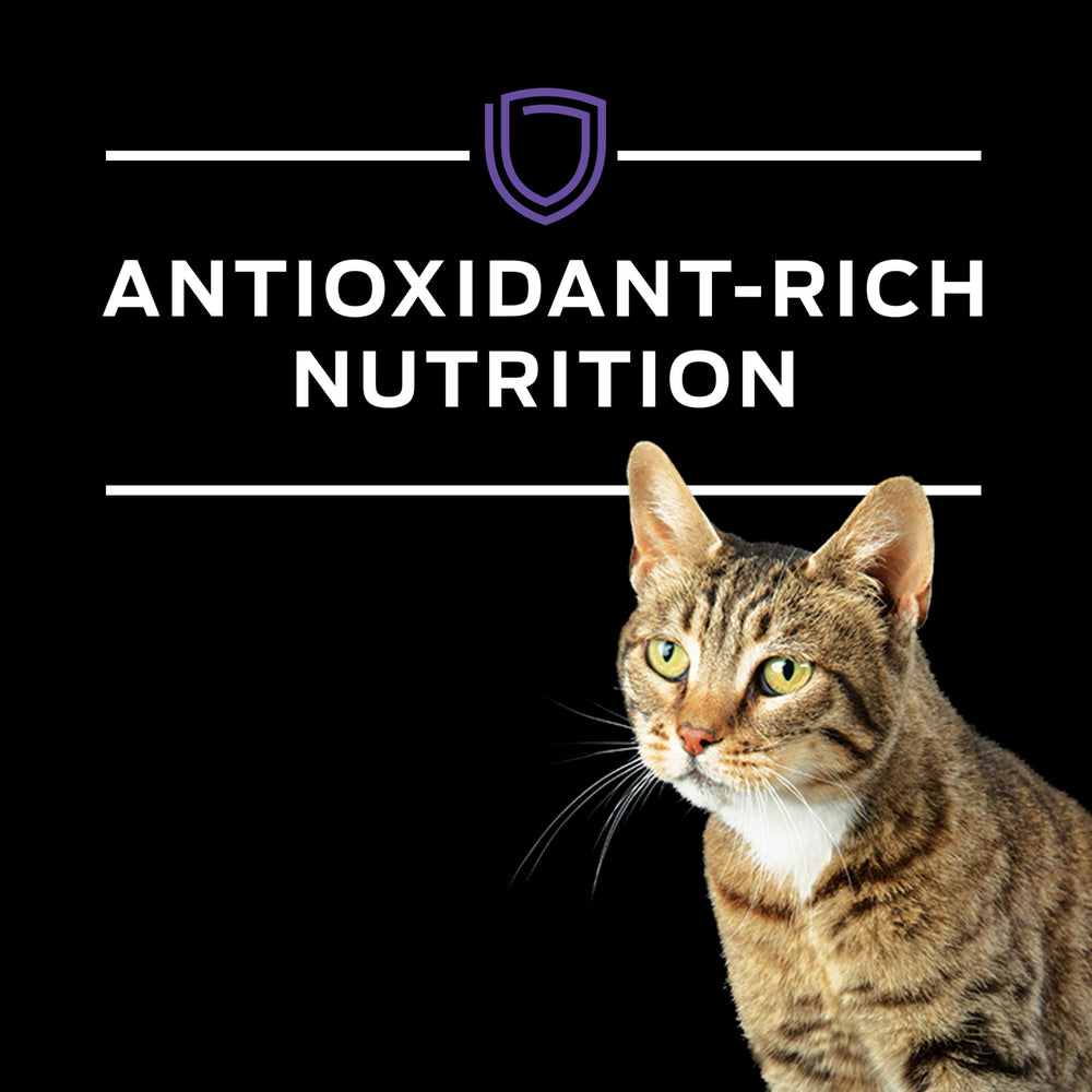Pro Plan Veterinary Diets apport énergétique dense dans des portions petites.