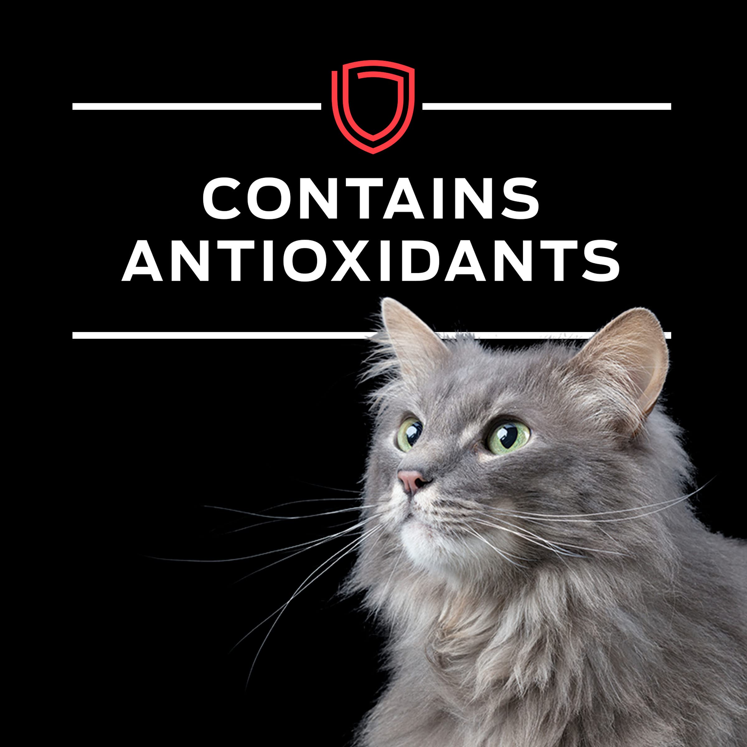 Purina Pro Plan Veterinary Diets DM emballage clair et pratique pour le dosage.
