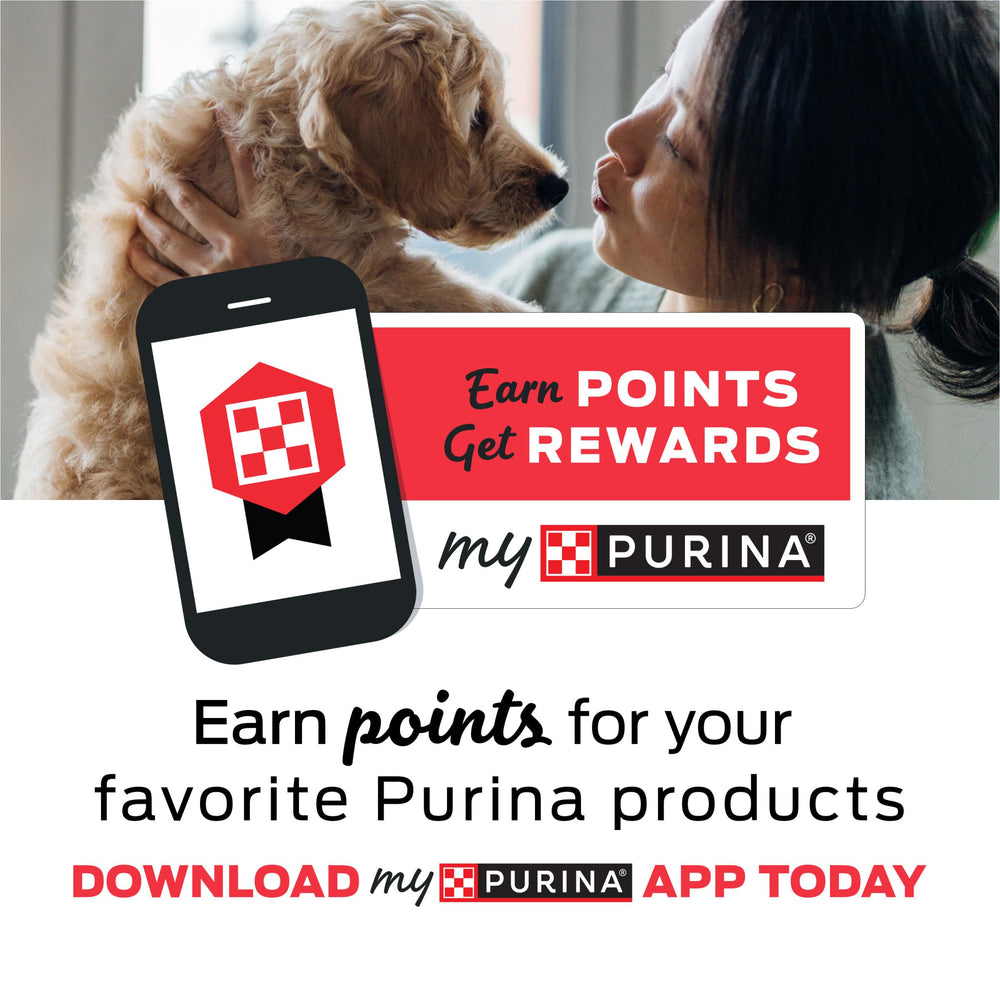 Purina Pro Plan OM, texture riche stimulant l’appétit du chien.