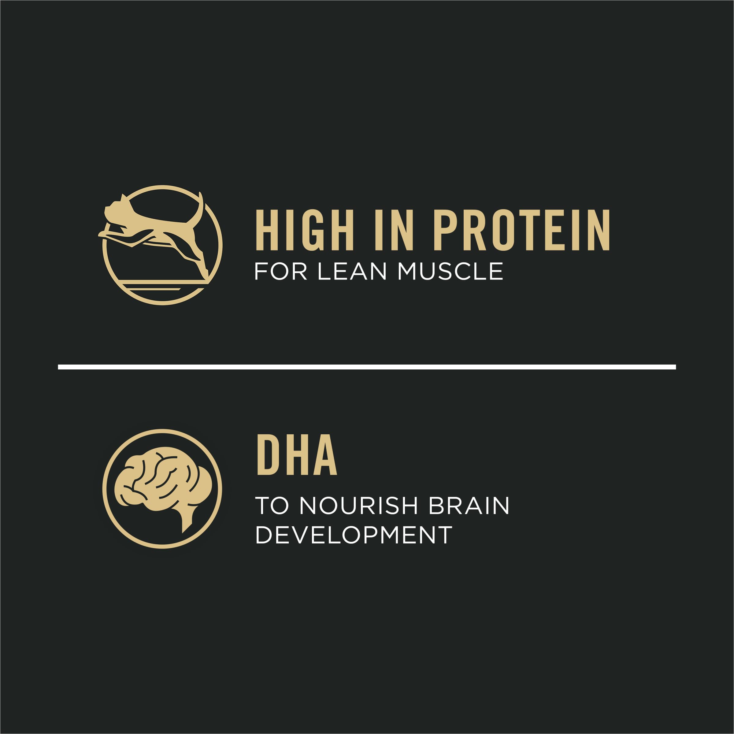 Purina Pro Plan Vital Systems Saumon chaton - DHA pour le développement cérébral.